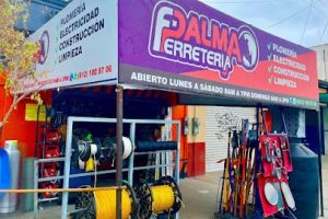 Palma Ferretería Gomez Farias en La Paz