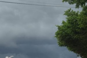 Suministro de Materiales Equipos y Diseños Campeche en Campeche