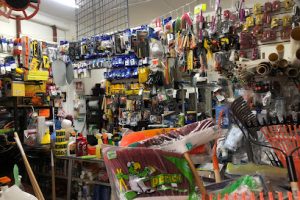 Ferreexpress en Corregidora