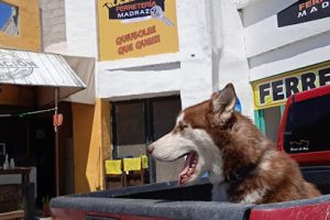Ferretería Madrazo en Saltillo