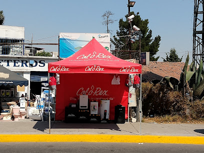Ave Fénix Ferreteros en Toluca
