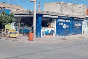 Plomería Lerdo en Lerdo