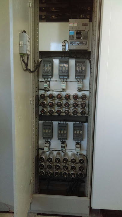 Eléctrica Luna en Puerto Vallarta
