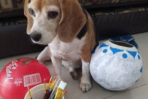 Ferretería y Tlapalería (Esq. Zoquipan) en Zapopan