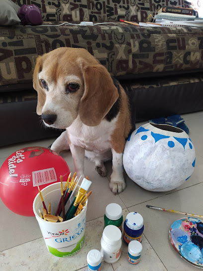 Ferretería y Tlapalería (Esq. Zoquipan) en Zapopan