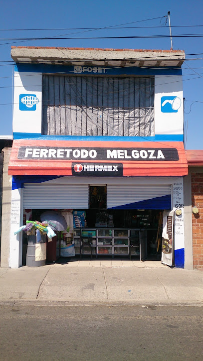 Ferretodo Melgoza en Irapuato