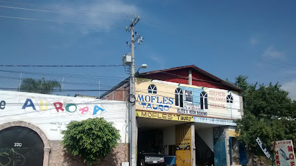 Ferreperfiles S.A. de C.V. en Morelia