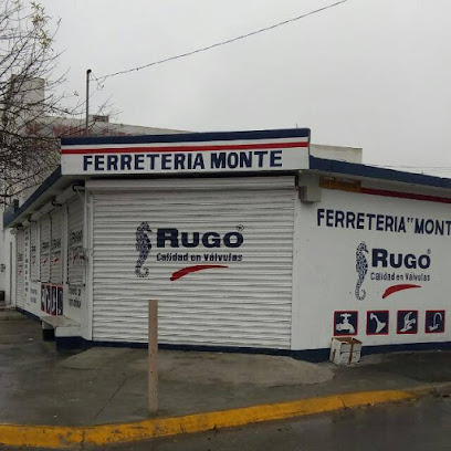 Ferretería Montelongo en General Escobedo