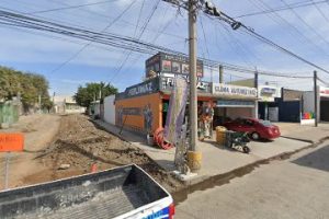 Feplomaz en Mazatlán