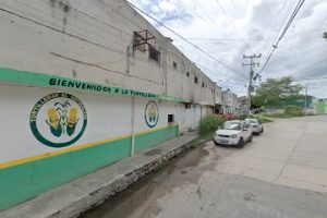 Tornillos y Tuercas Sisa Campeche en Campeche