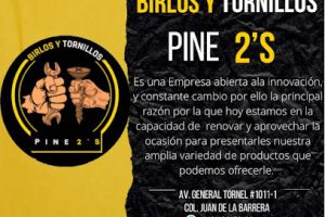 Birlos y Tornillos Pine 2’s en Durango