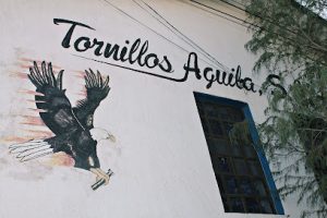 Tornillos Águila en Durango