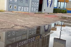 Tornillos Dgs en Durango