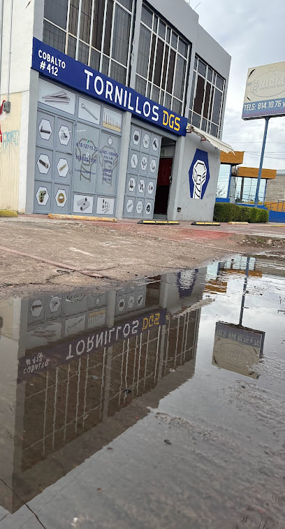 Tornillos Dgs en Durango