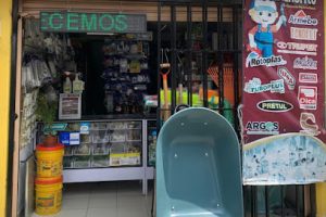 El Fontanerito en Xochimilco