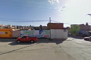 Hernandez Acevedo, Nancy Alejandra Glp en Guadalupe